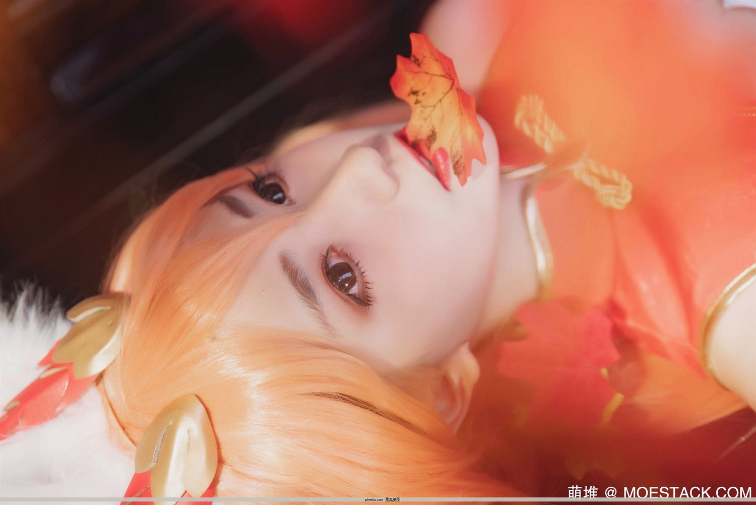 [16P]  ] ˽  [Coser  Momoko P.1 