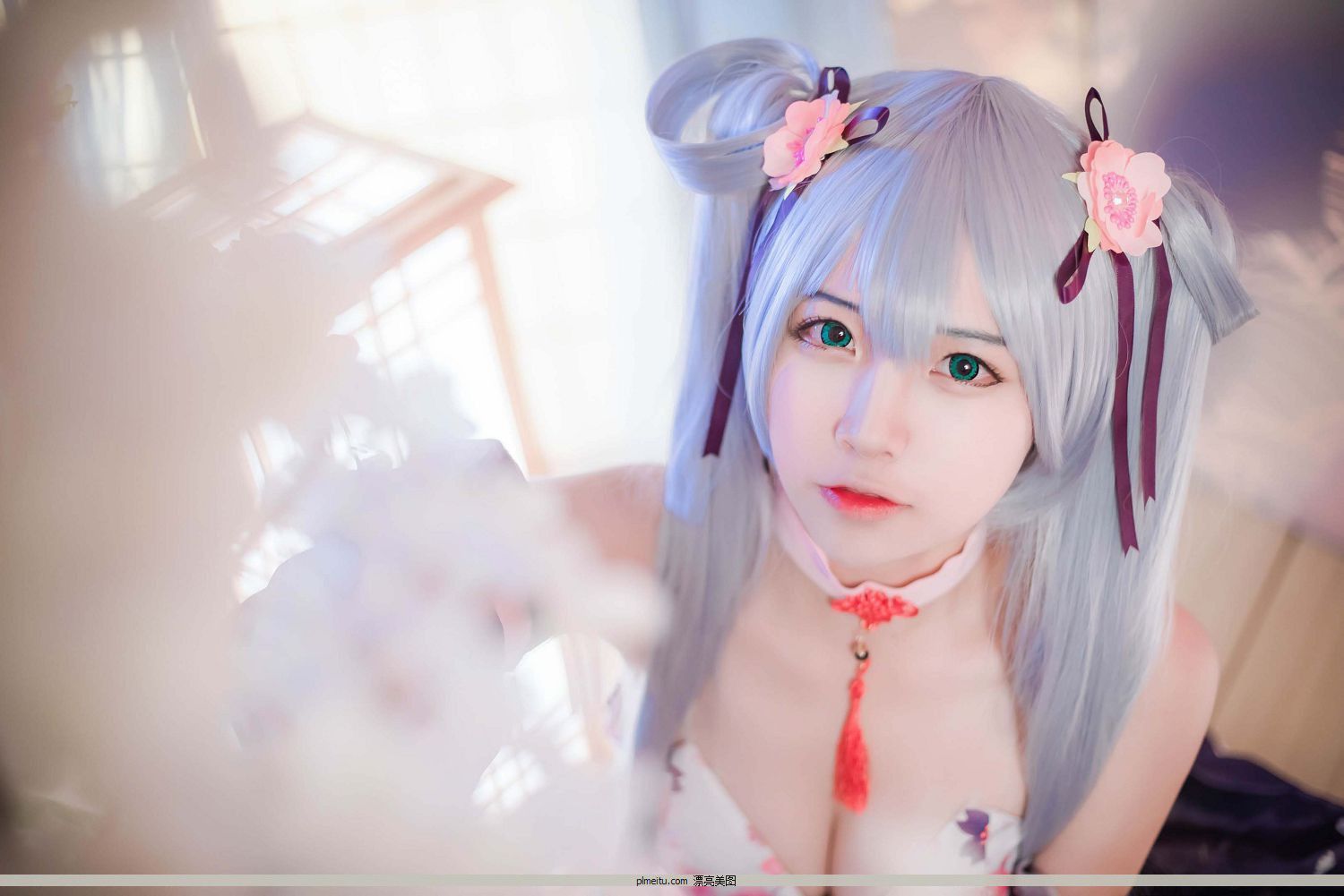 Nisa 58 ] ˫β Coser [Coser ģ ͼ P.1 