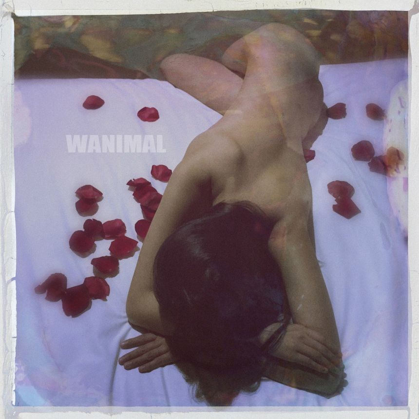 ʥ [104P] WANIMAL ͼ (ʮһ) P.1 