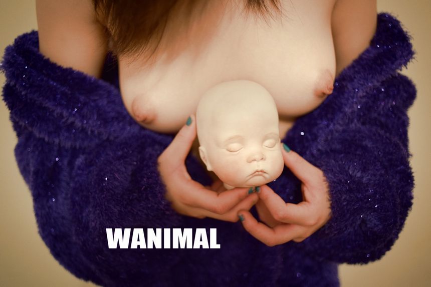 ʥ [104P] WANIMAL ͼ (ʮһ) P.1 