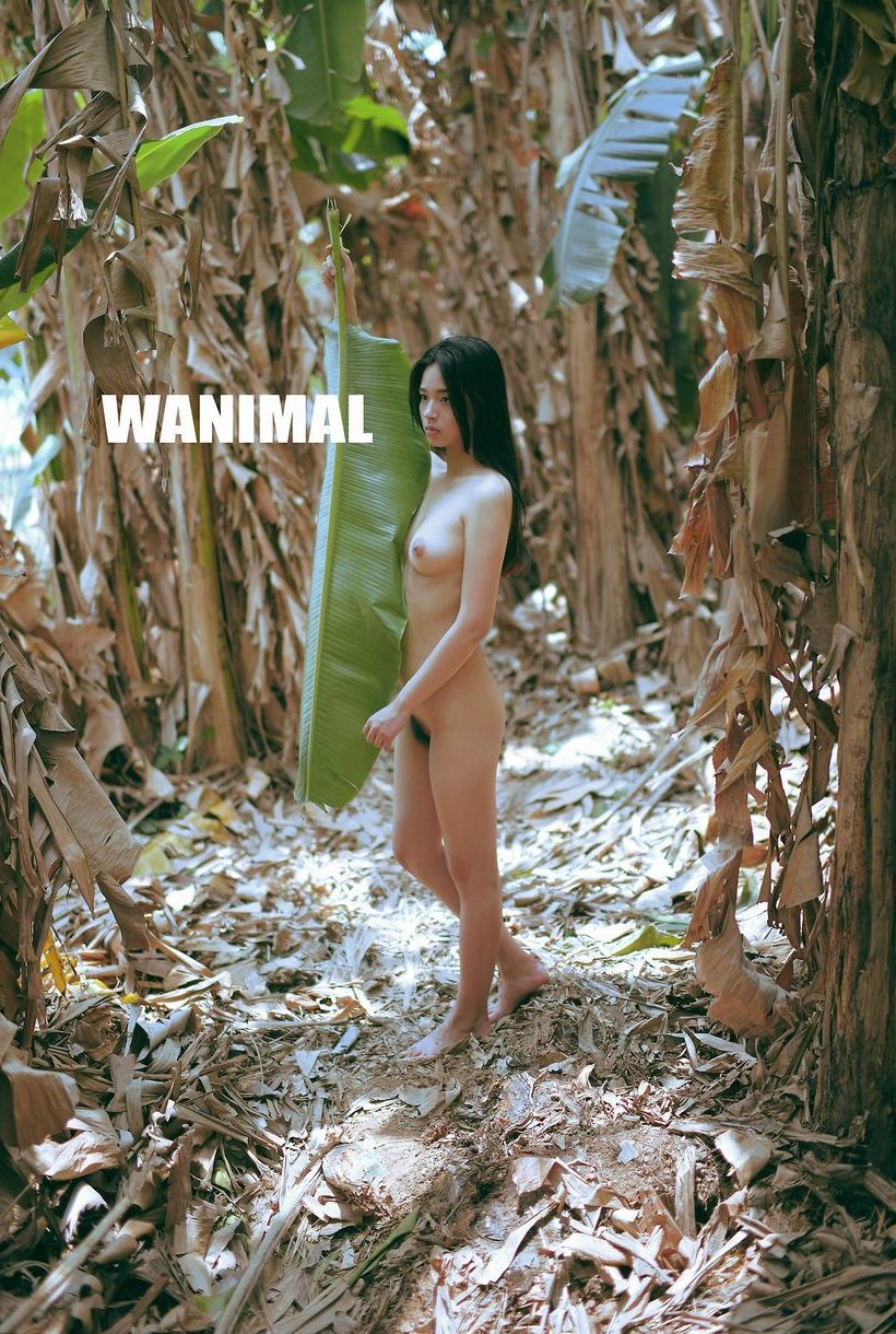 ڹ WANIMAL [104P] ͼ (ʮ) P.1 