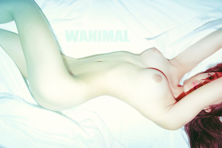 ͼ WANIMAL ʥ (ʮ) [82P] P.1 